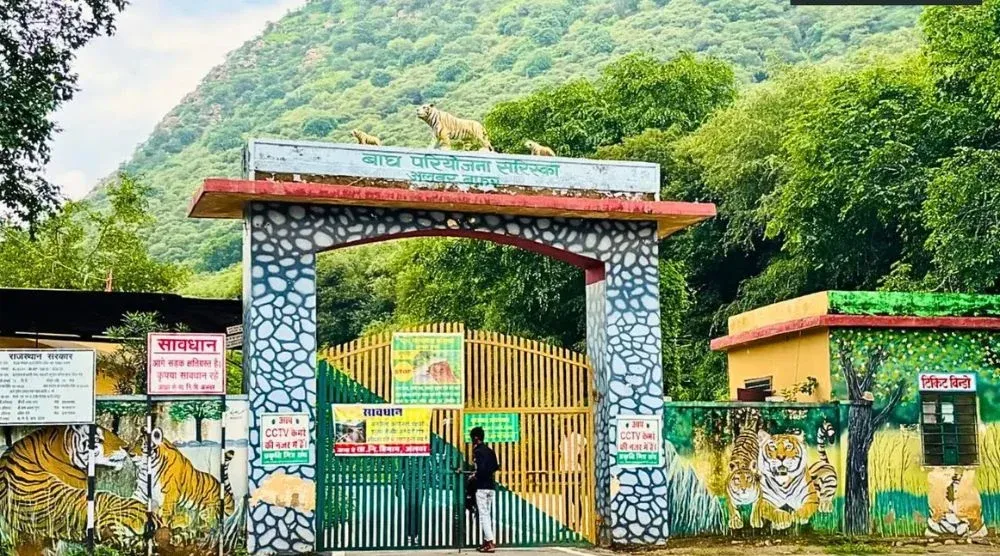 Sariska Tiger Reserve jungle safari Alwar Rajasthan