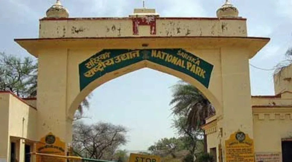 Sariska Wildlife Sanctuary forest view Alwar Rajasthan